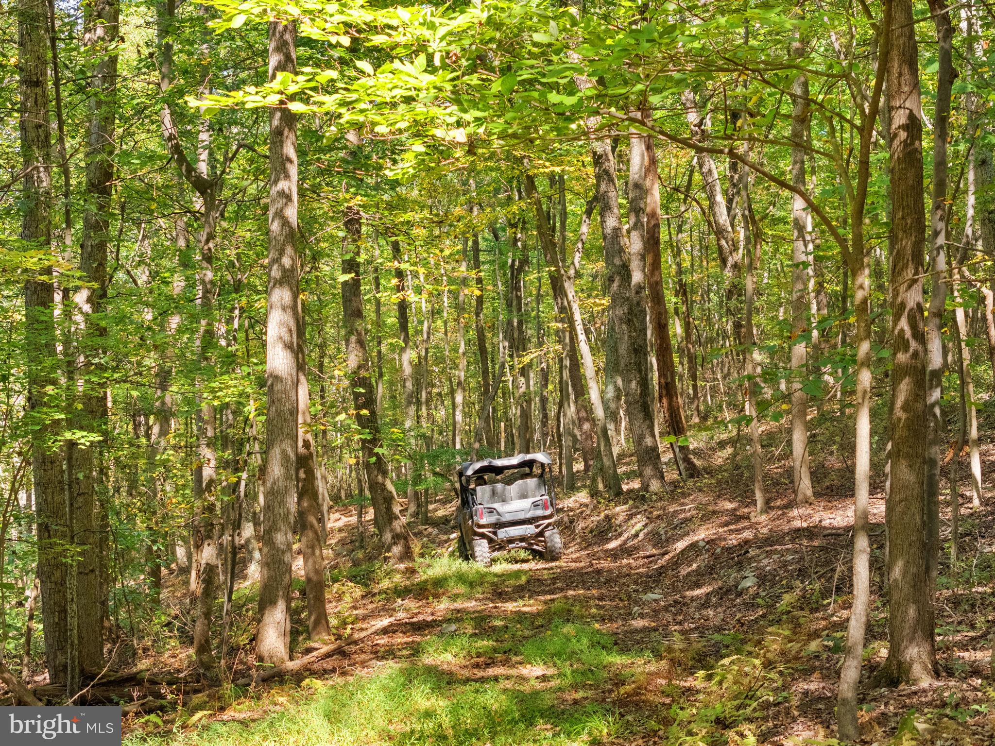 9533 Howellsville Road Boyce, VA 22620 - Photo 50 of 65 Extensive cleared trails