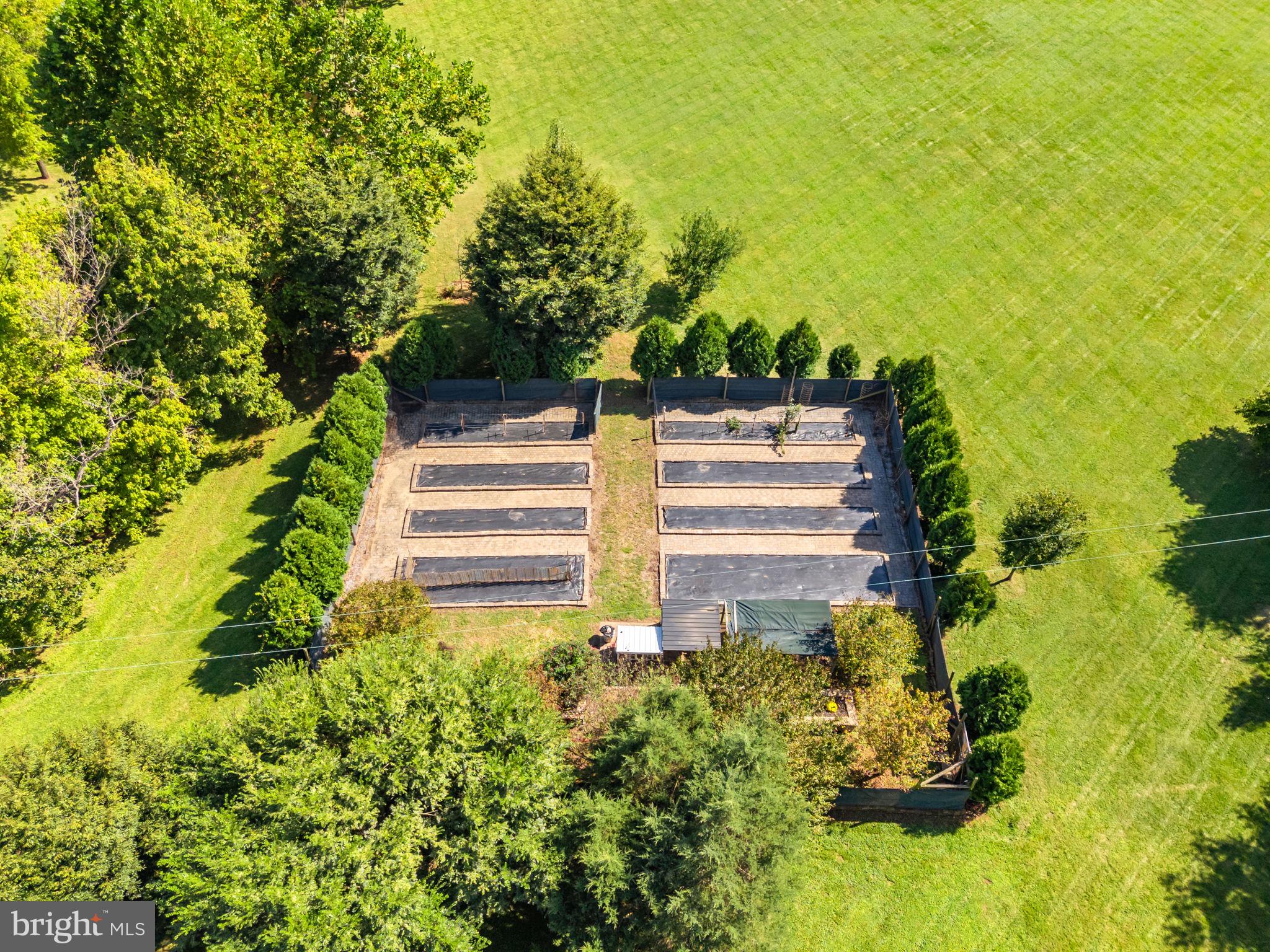 9533 Howellsville Road Boyce, VA 22620 - Photo 58 of 65