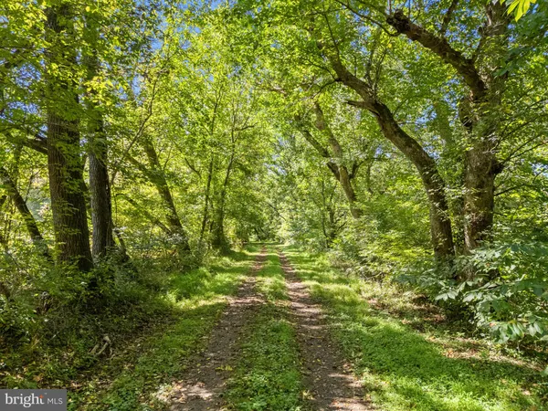 $3,500,000 | 9533 Howellsville Road, Boyce, VA 22620