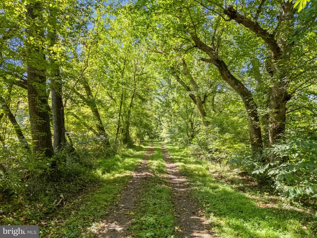 $3,500,000 | 9533 Howellsville Road, Boyce, VA 22620