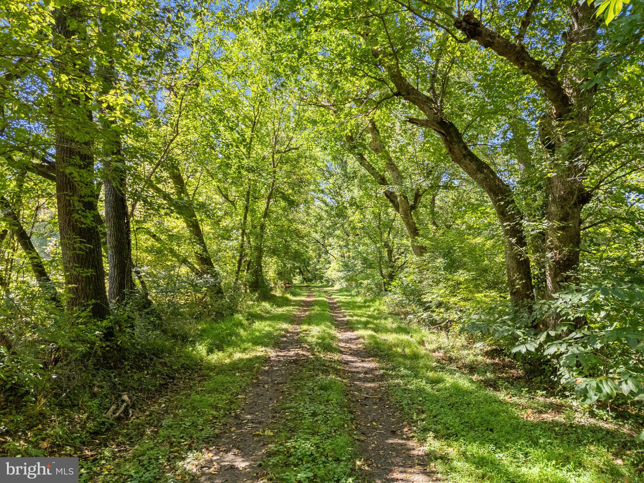 9533 Howellsville Road Boyce, VA 22620 - Photo 10 of 65 Trails throughout for riding, hiking or ATVs