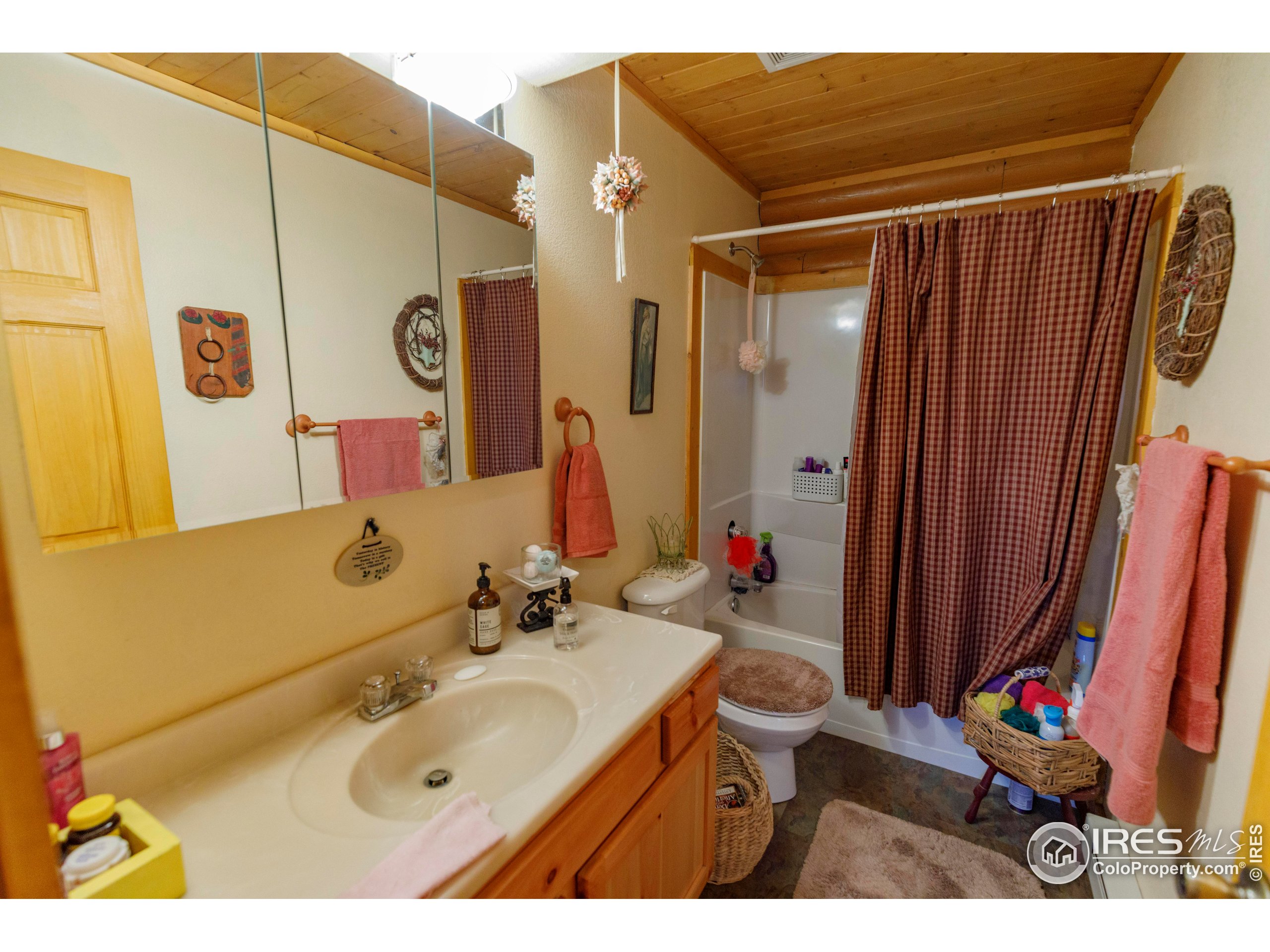 311 Chiricahua Circle Red Feather Lakes, CO 80545 - Photo 19 of 50