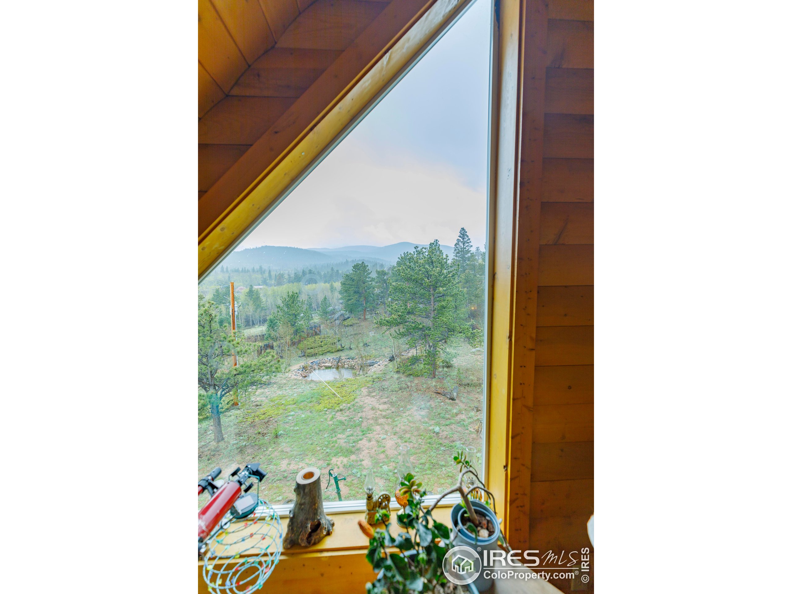 311 Chiricahua Circle Red Feather Lakes, CO 80545 - Photo 22 of 50