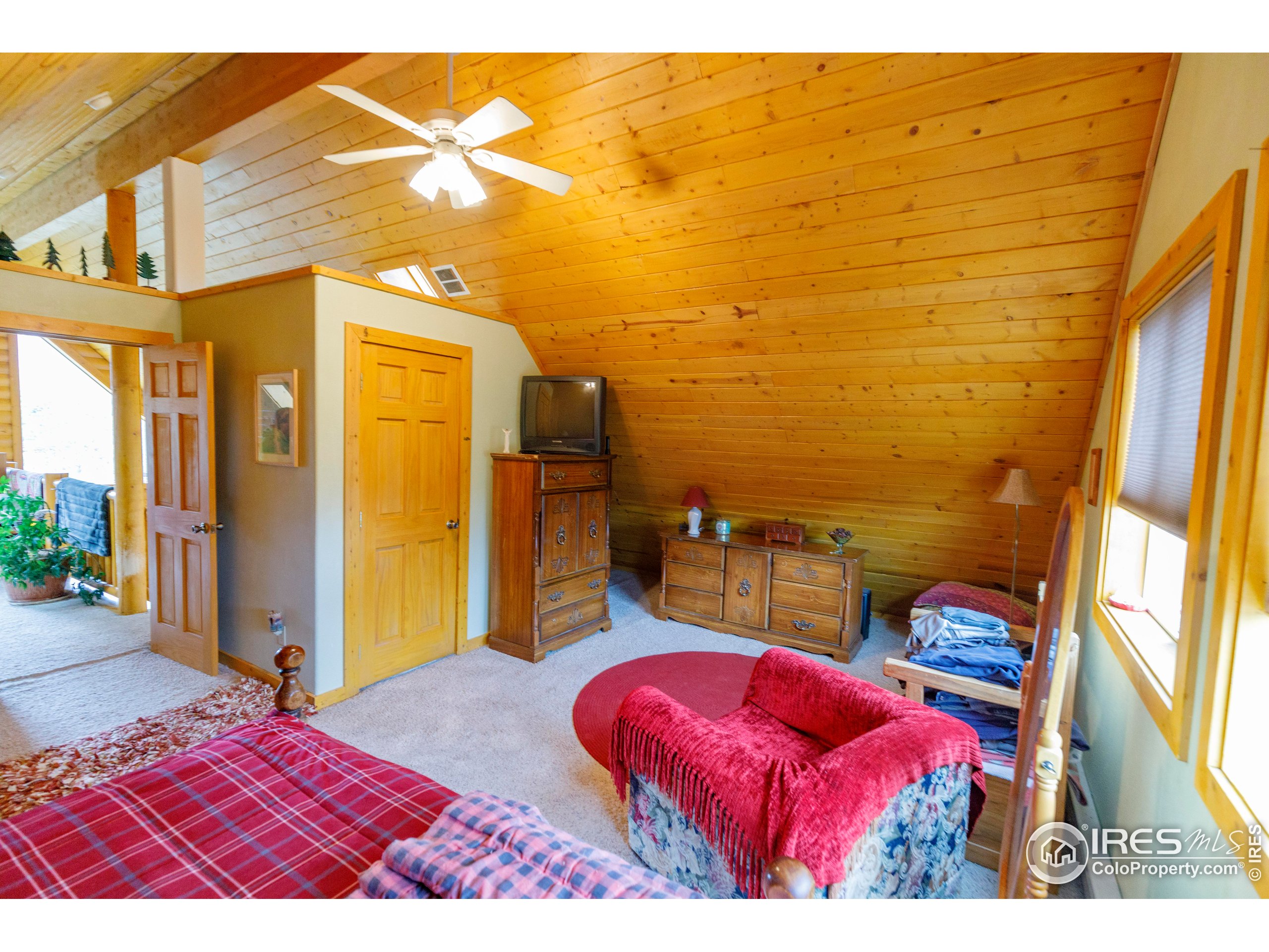 311 Chiricahua Circle Red Feather Lakes, CO 80545 - Photo 28 of 50