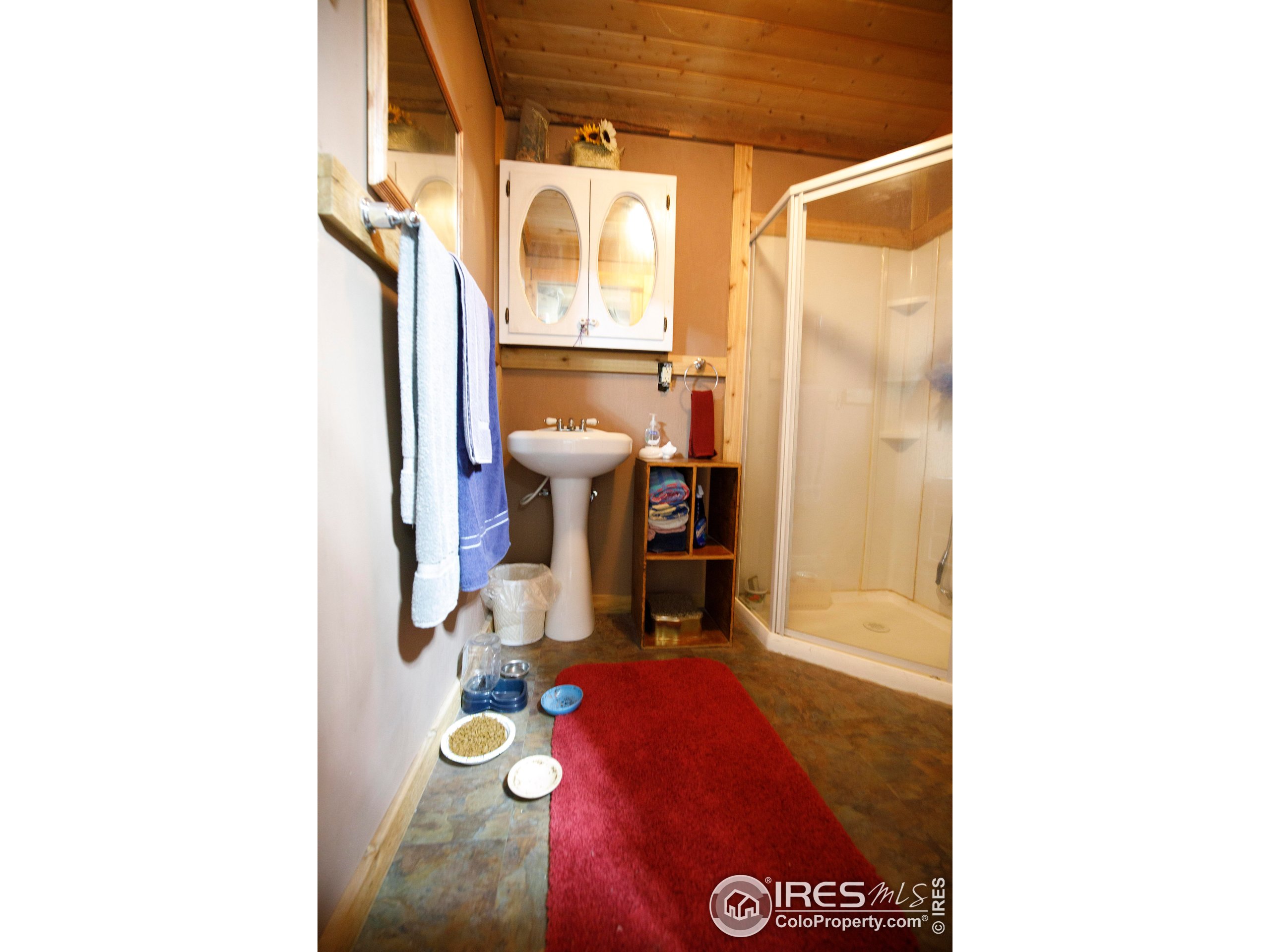 311 Chiricahua Circle Red Feather Lakes, CO 80545 - Photo 35 of 50