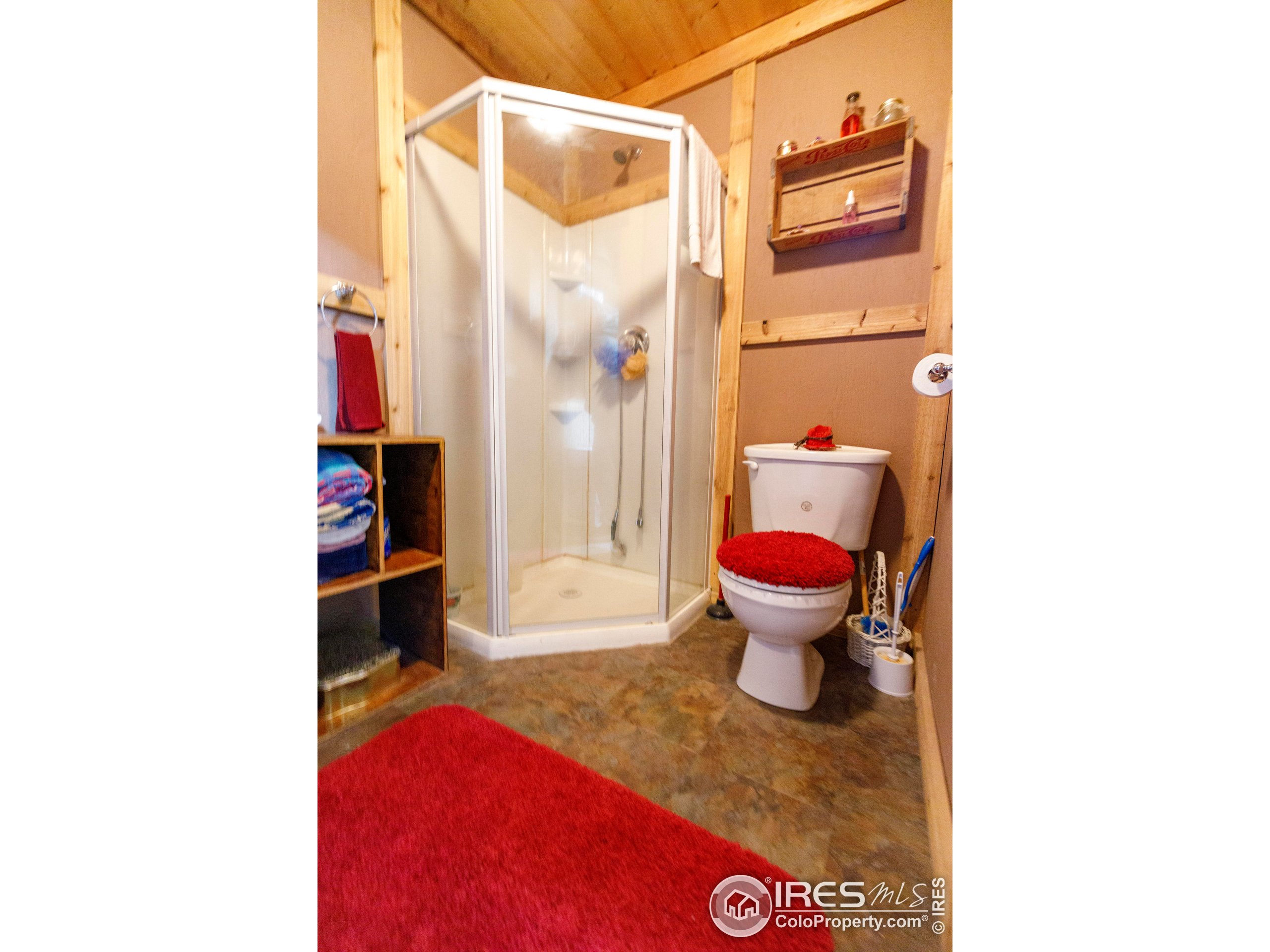 311 Chiricahua Circle Red Feather Lakes, CO 80545 - Photo 36 of 50