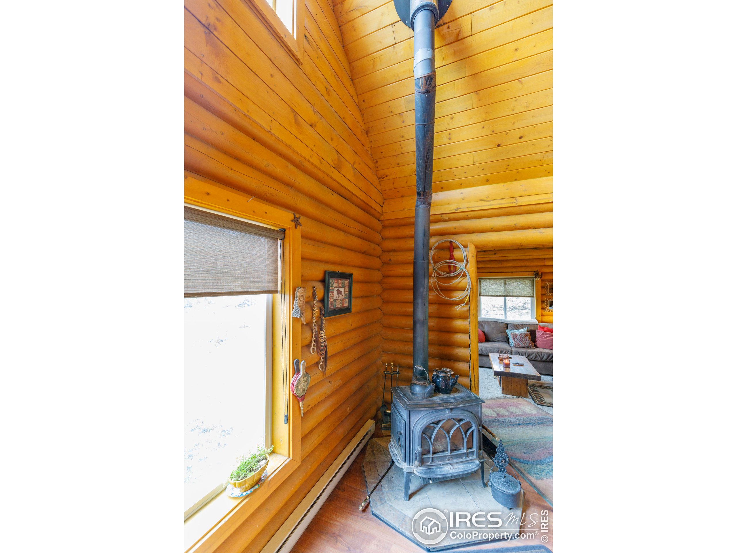 311 Chiricahua Circle Red Feather Lakes, CO 80545 - Photo 10 of 50