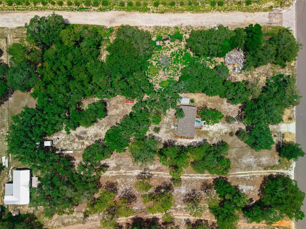 8170 Dogyard Road Lake Wales, FL 33898 - Photo 47 of 58