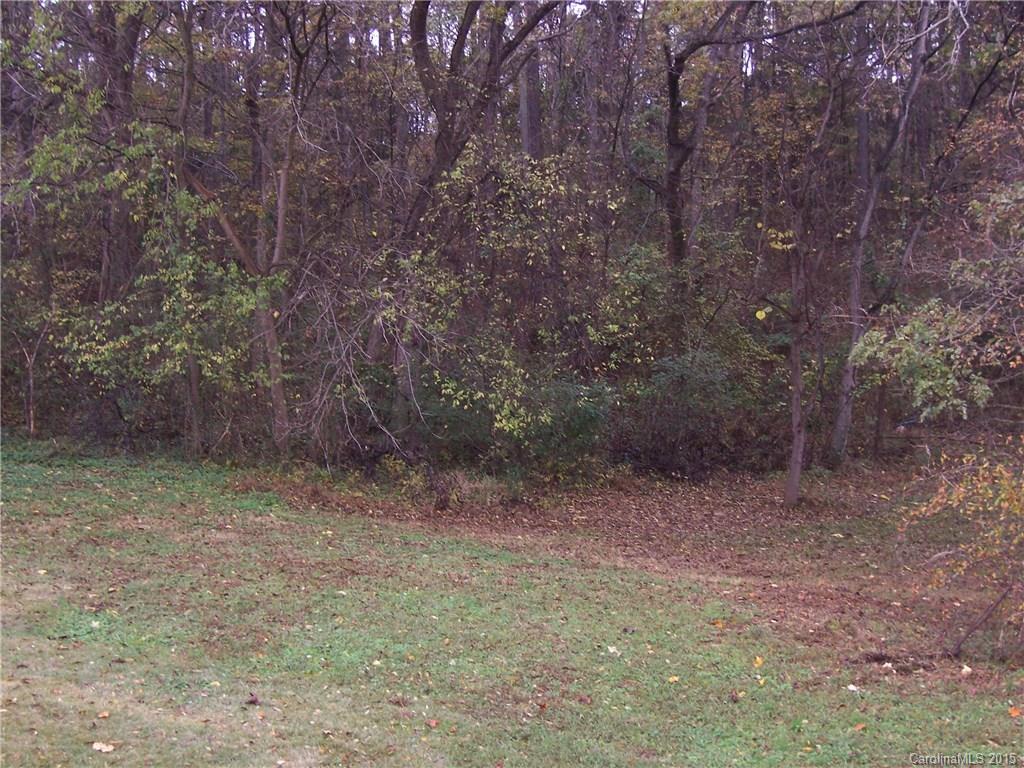 1915 Burkin Road McConnells, SC 29726 - Photo 4 of 16 a view of a dry yard with trees in the background