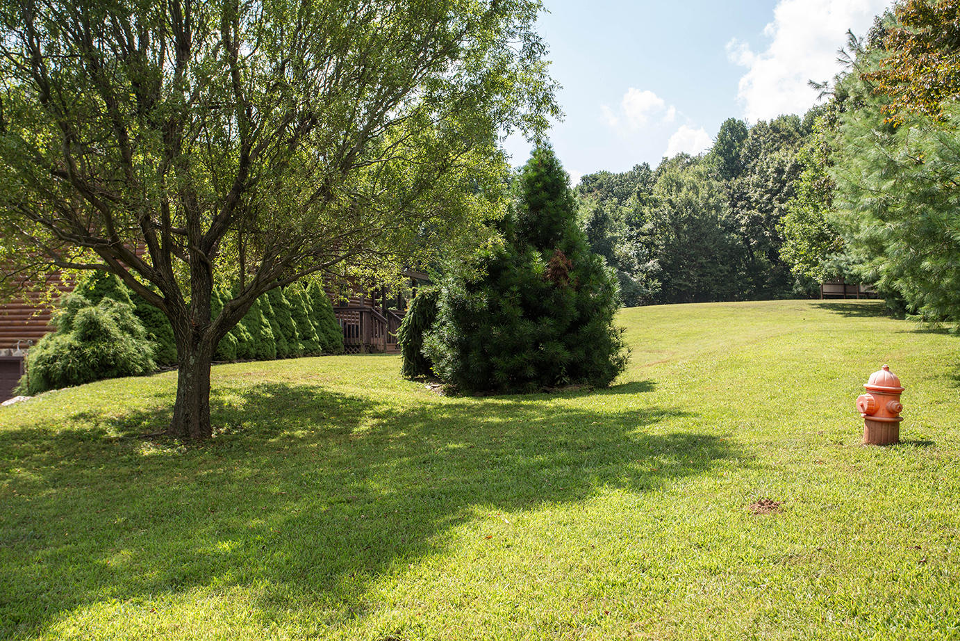 1030 Spring Dale Road Southwest Floyd, VA 24091 - Photo 26 of 34 DGA_3189
