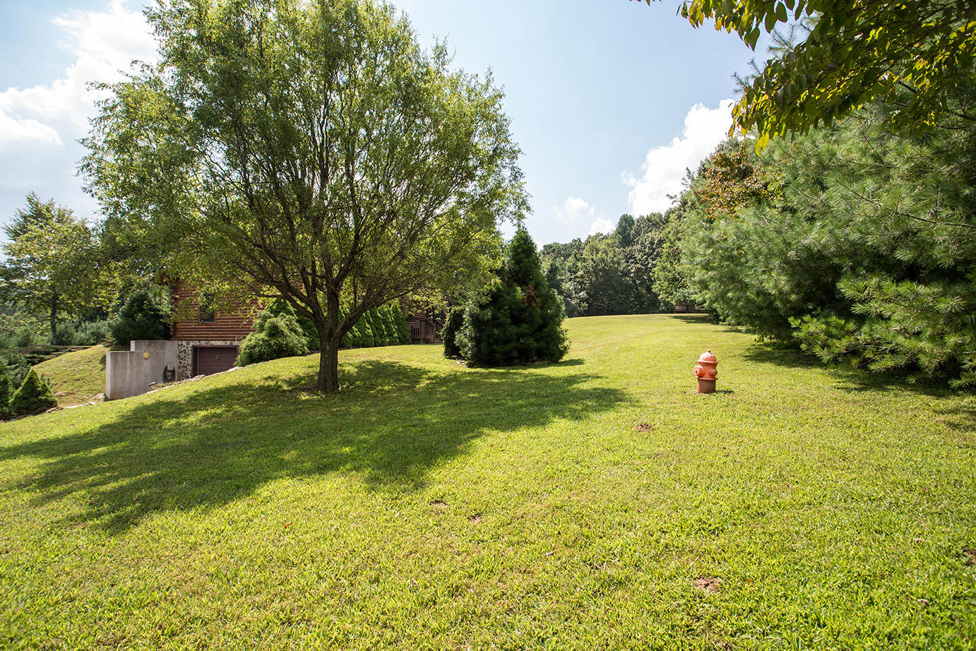 1030 Spring Dale Road Southwest Floyd, VA 24091 - Photo 27 of 34 DGA_3190
