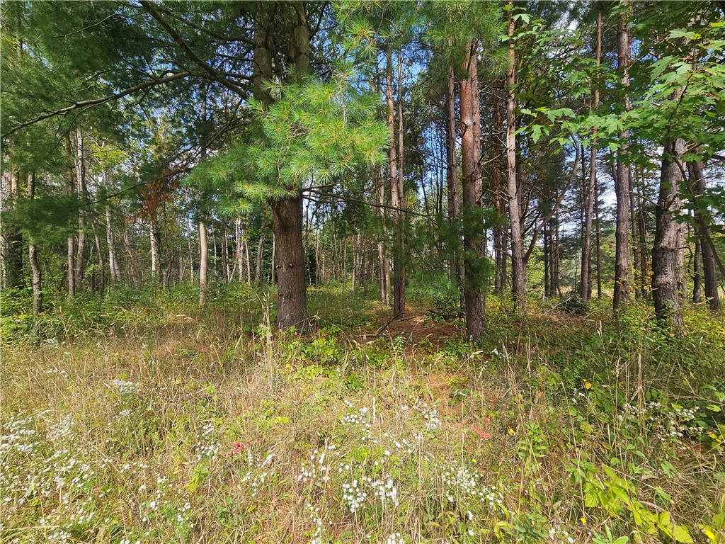 121 Buffalo Road Arcadia, NY 14513 - Photo 12 of 25 Gallery Image 12