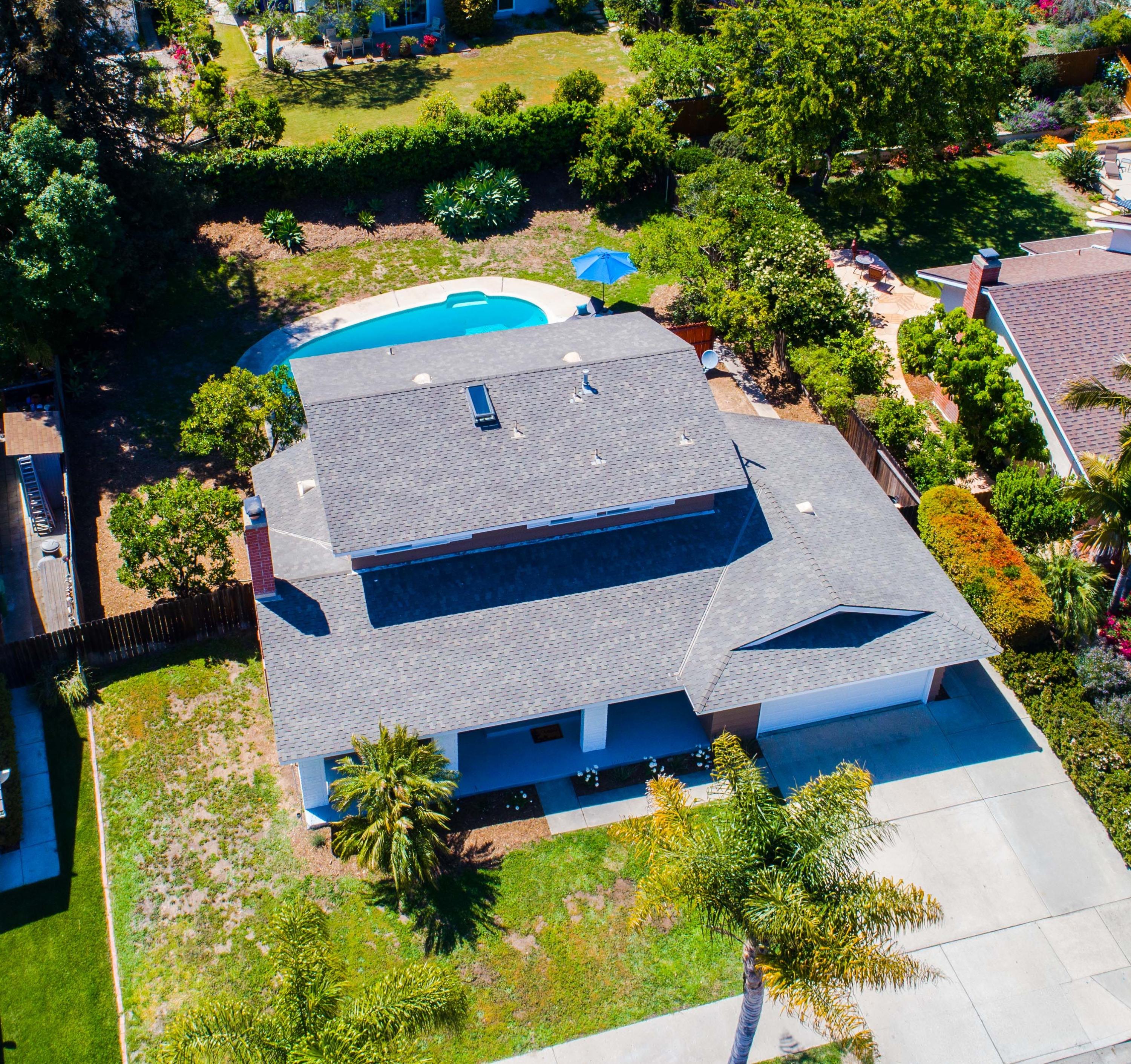 41 cropped