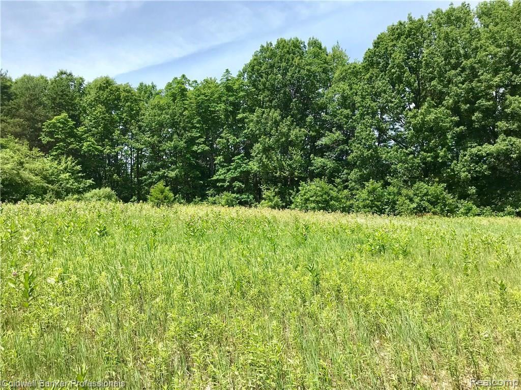 0 Lake Road Otisville, MI 48463 - Photo 10 of 12