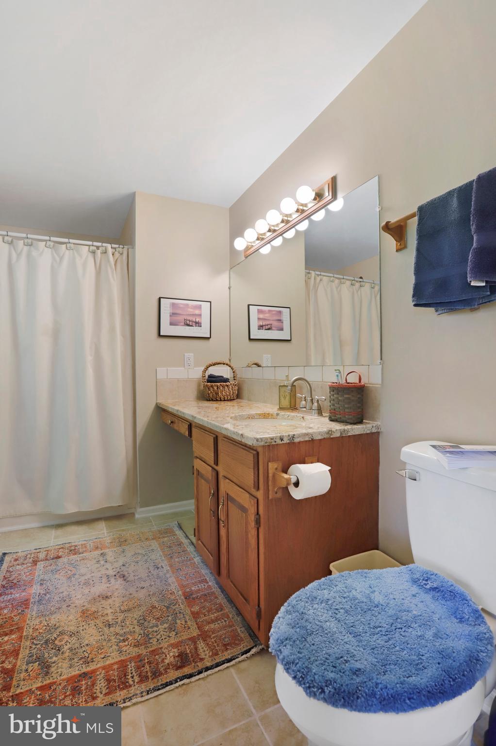 12244 Itnyre Road Smithsburg, MD 21783 - Photo 23 of 49 Updated paint, tile and granite in Master