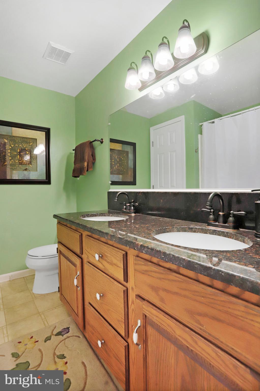 12244 Itnyre Road Smithsburg, MD 21783 - Photo 28 of 49 Updated bathroom on main level