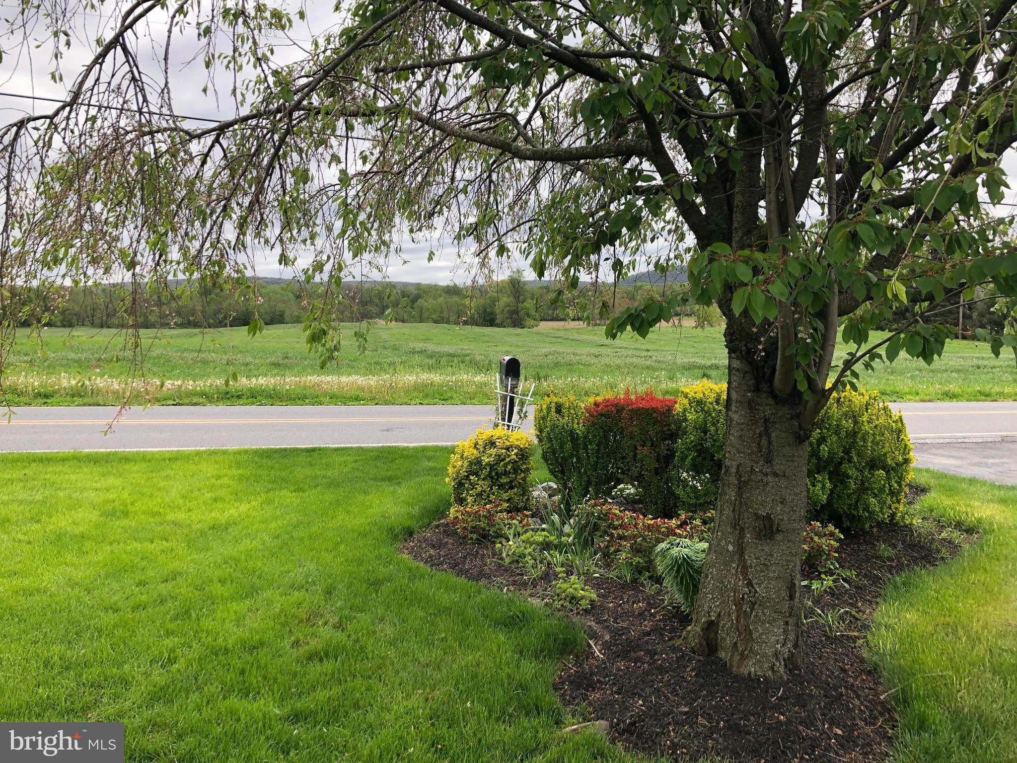 Front garden with mountain views
