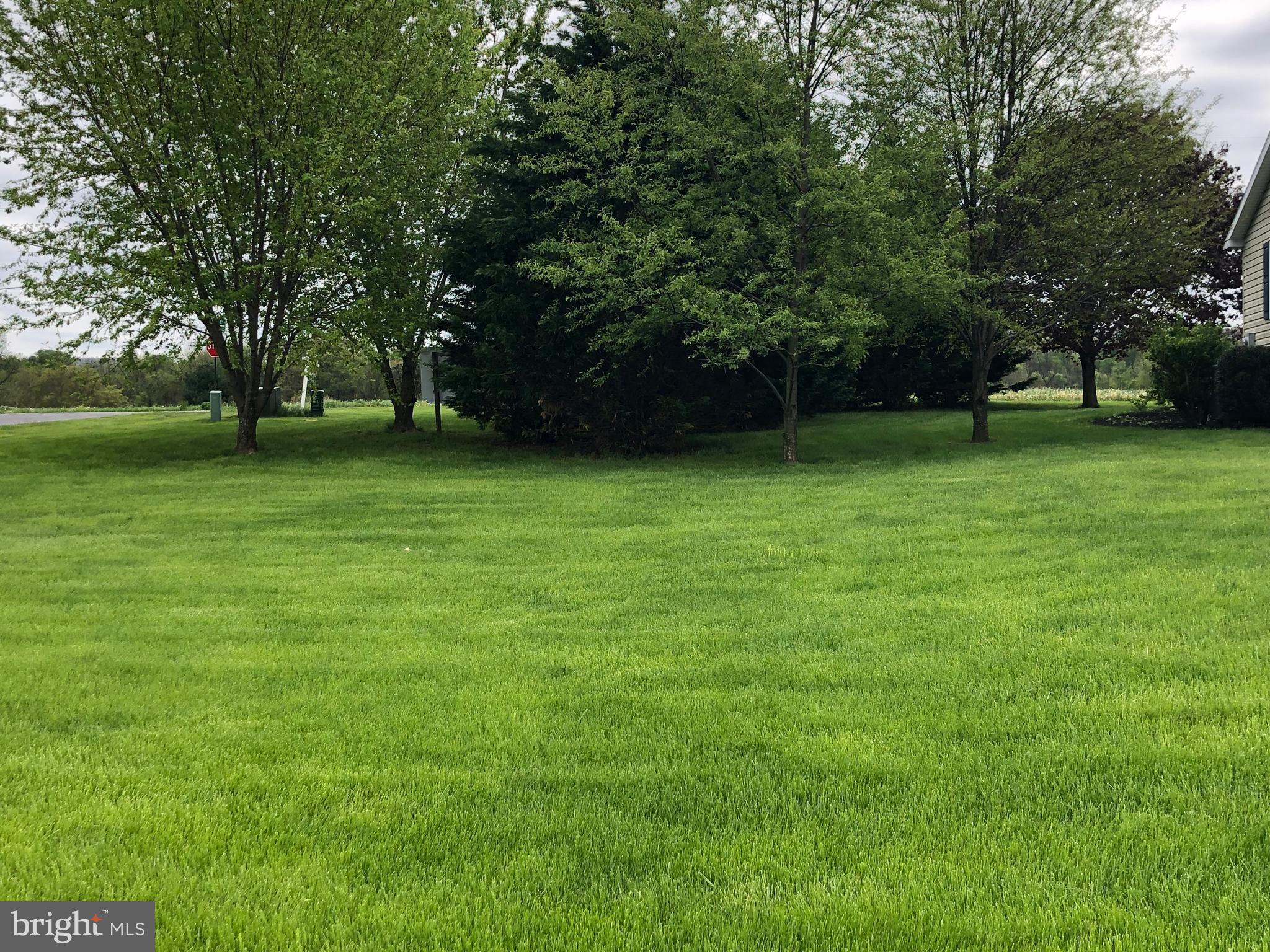 Side yard
