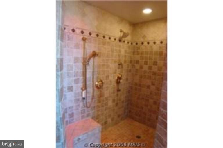 Master Bath #2