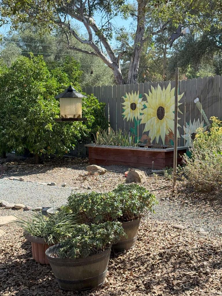 12993 Old Barona Road Lakeside, CA 92040 - Photo 48 of 48 a view of a garden with plants