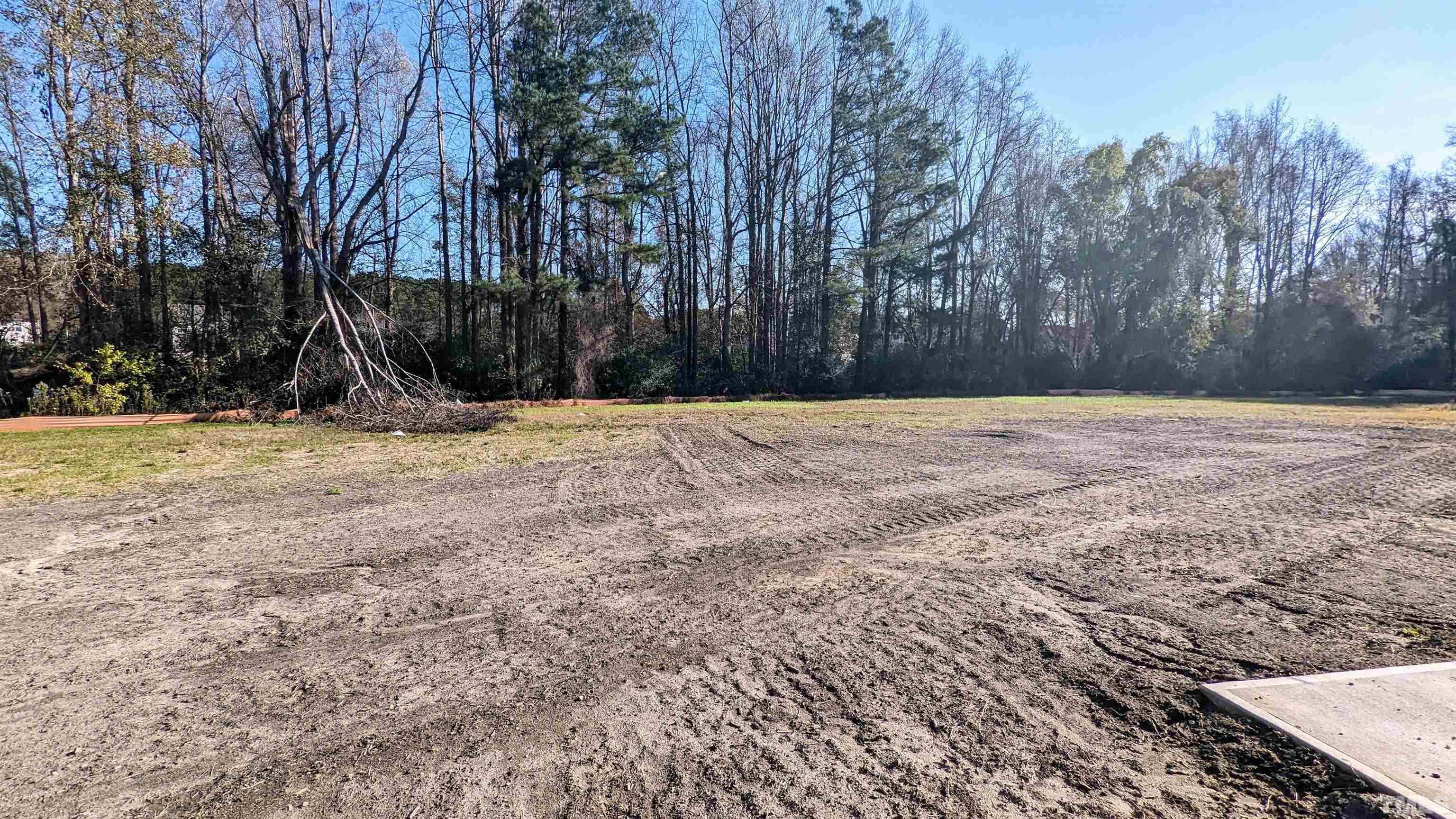 32 Daffodil Garden Court Smithfield, NC 27577 - Photo 14 of 19 a view of empty space with trees