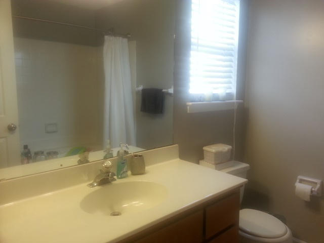377 Bertram Road Summerville, SC 29485 - Photo 11 of 20 Master Bathroom Vanity