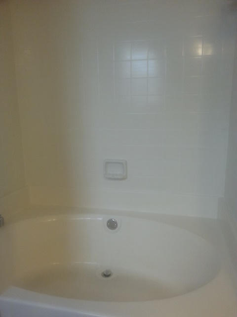 377 Bertram Road Summerville, SC 29485 - Photo 13 of 20 Garden Tub and Shower