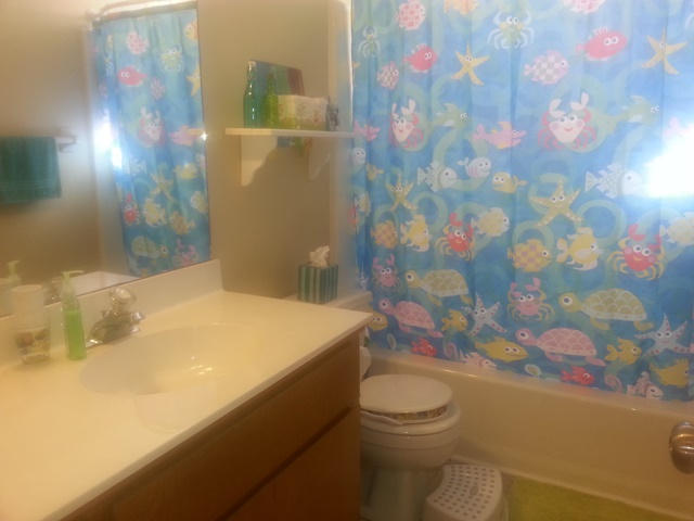 377 Bertram Road Summerville, SC 29485 - Photo 16 of 20 Guest Bathroom