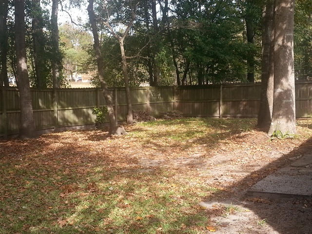377 Bertram Road Summerville, SC 29485 - Photo 19 of 20 Yard