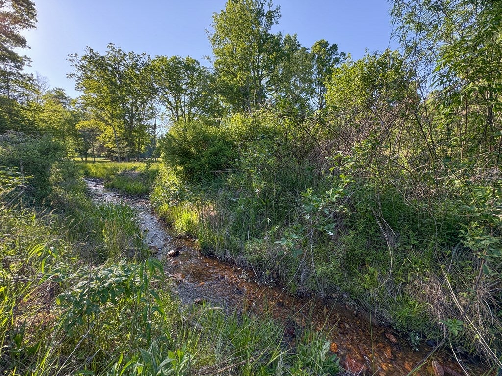 65-ac Dugspur Road, Unit 18 Dugspur, VA 24325 - Photo 22 of 68 Gallery Image 22