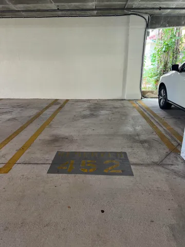 a view of a garden with plants and large trees