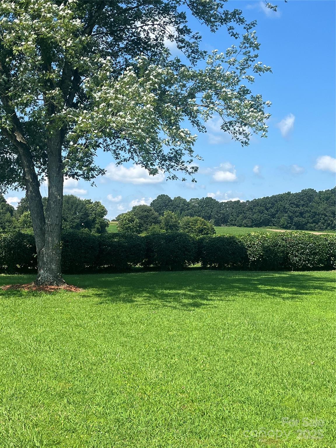 35209 Beth Road Albemarle, NC 28001 - Photo 16 of 38 a view of outdoor space with a field and trees