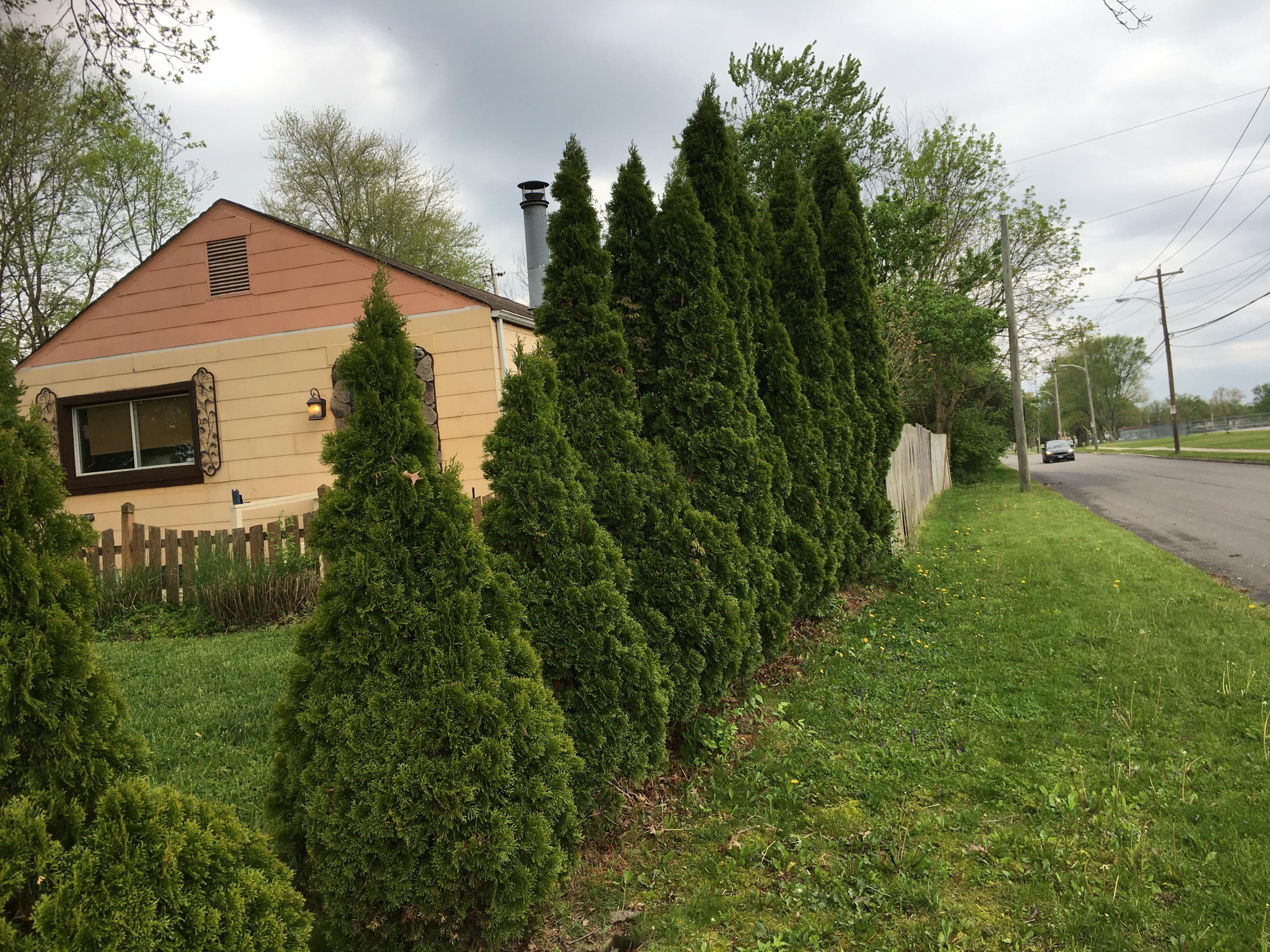 273 Lowell Road Columbus, OH 43209 - Photo 14 of 19 Gallery Image 14