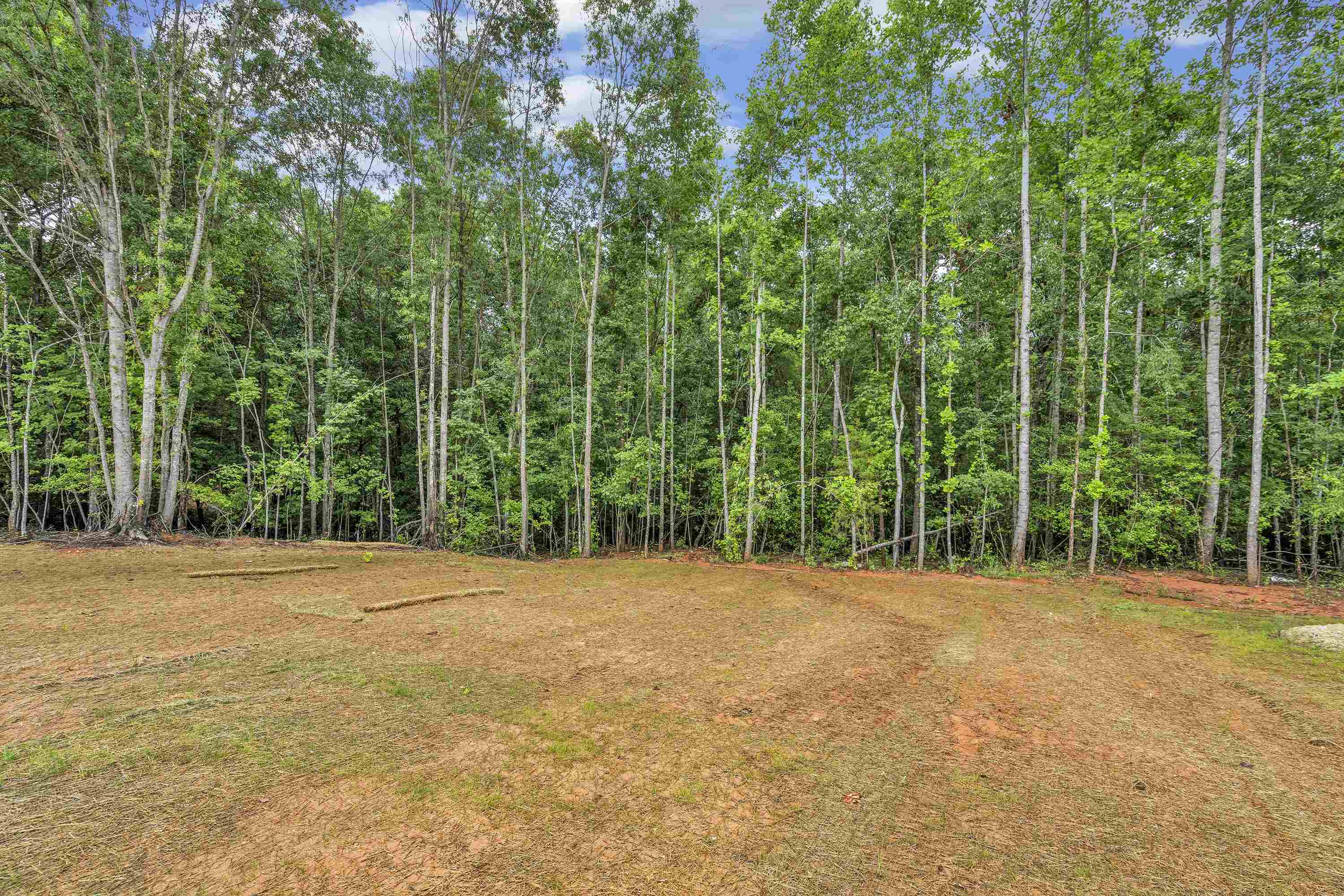 419 Walnut Grove Road Roebuck, SC 29376 - Photo 25 of 25