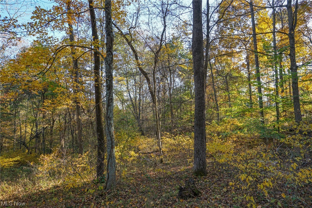 8662 Porter Run Road Roseville, OH 43777 - Photo 2 of 33 View of nature