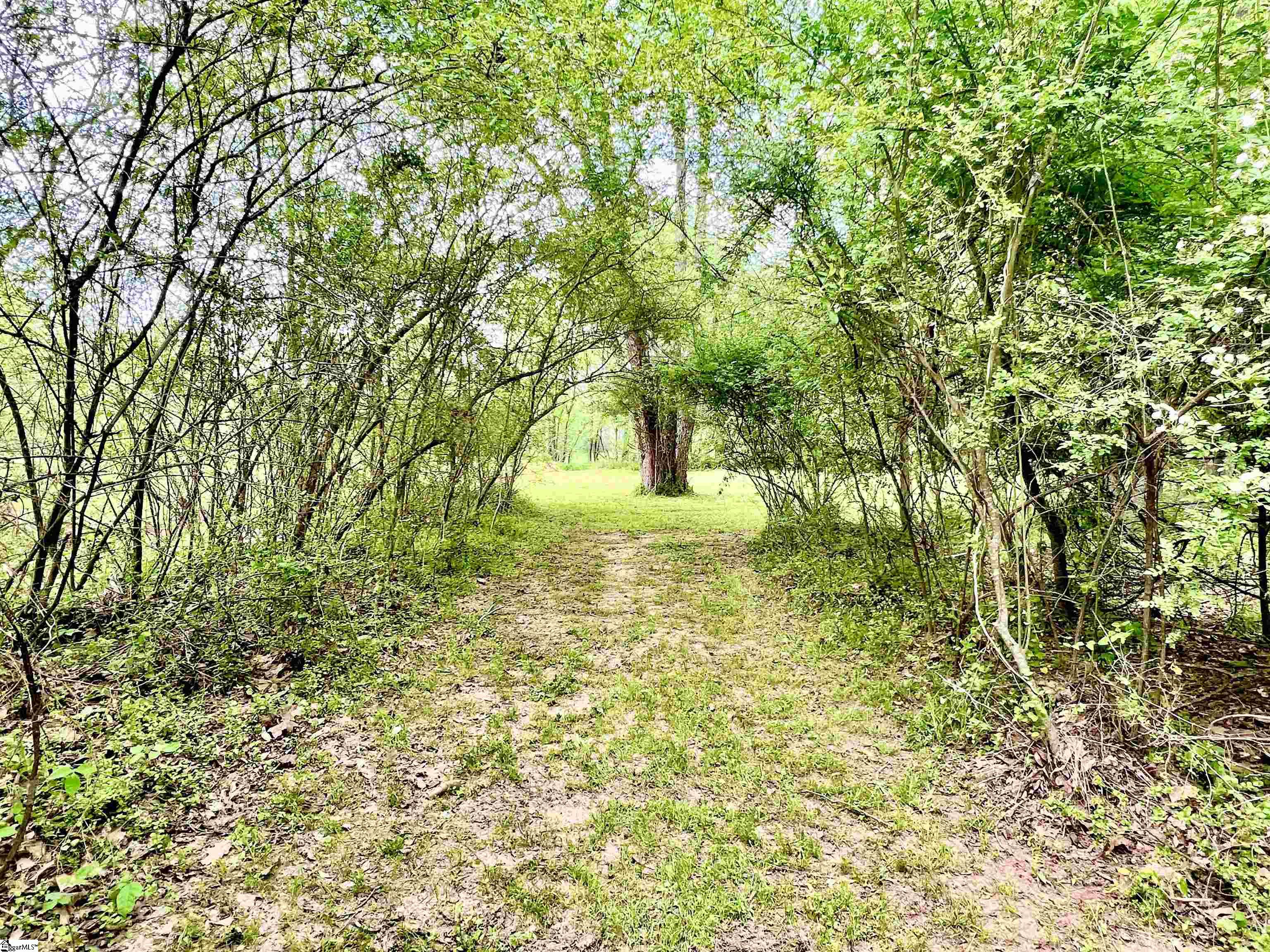 396 Bryson Ford Road Gray Court, SC 29645 - Photo 24 of 35 Gallery Image 24