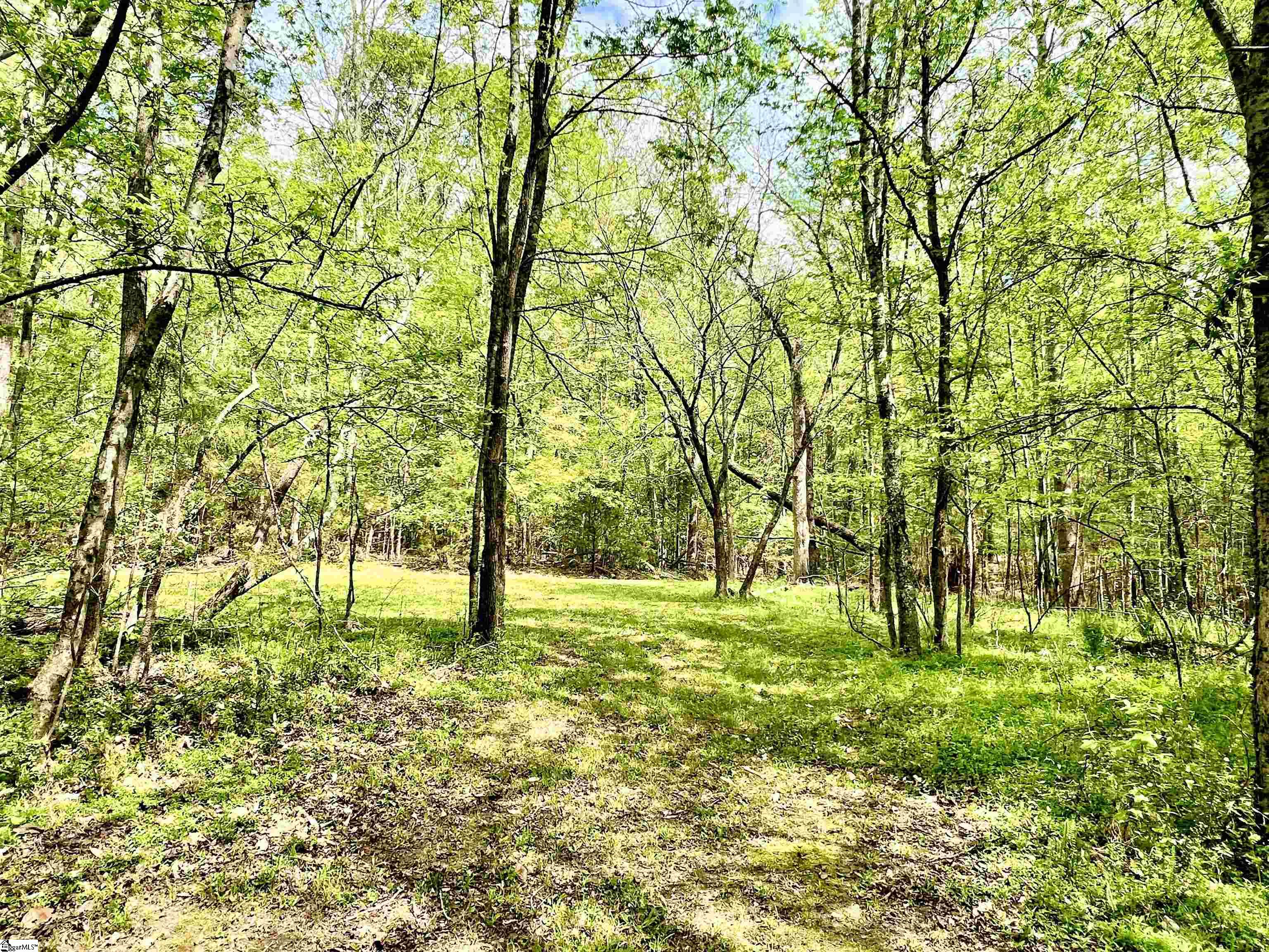 396 Bryson Ford Road Gray Court, SC 29645 - Photo 29 of 35 Gallery Image 29
