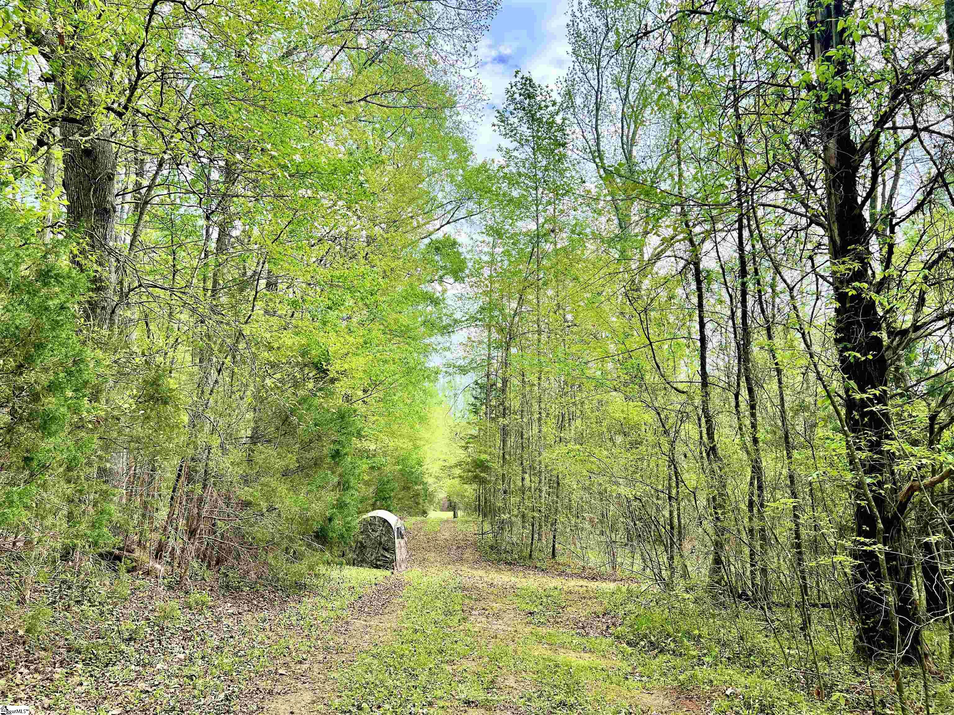 396 Bryson Ford Road Gray Court, SC 29645 - Photo 32 of 35 Gallery Image 32