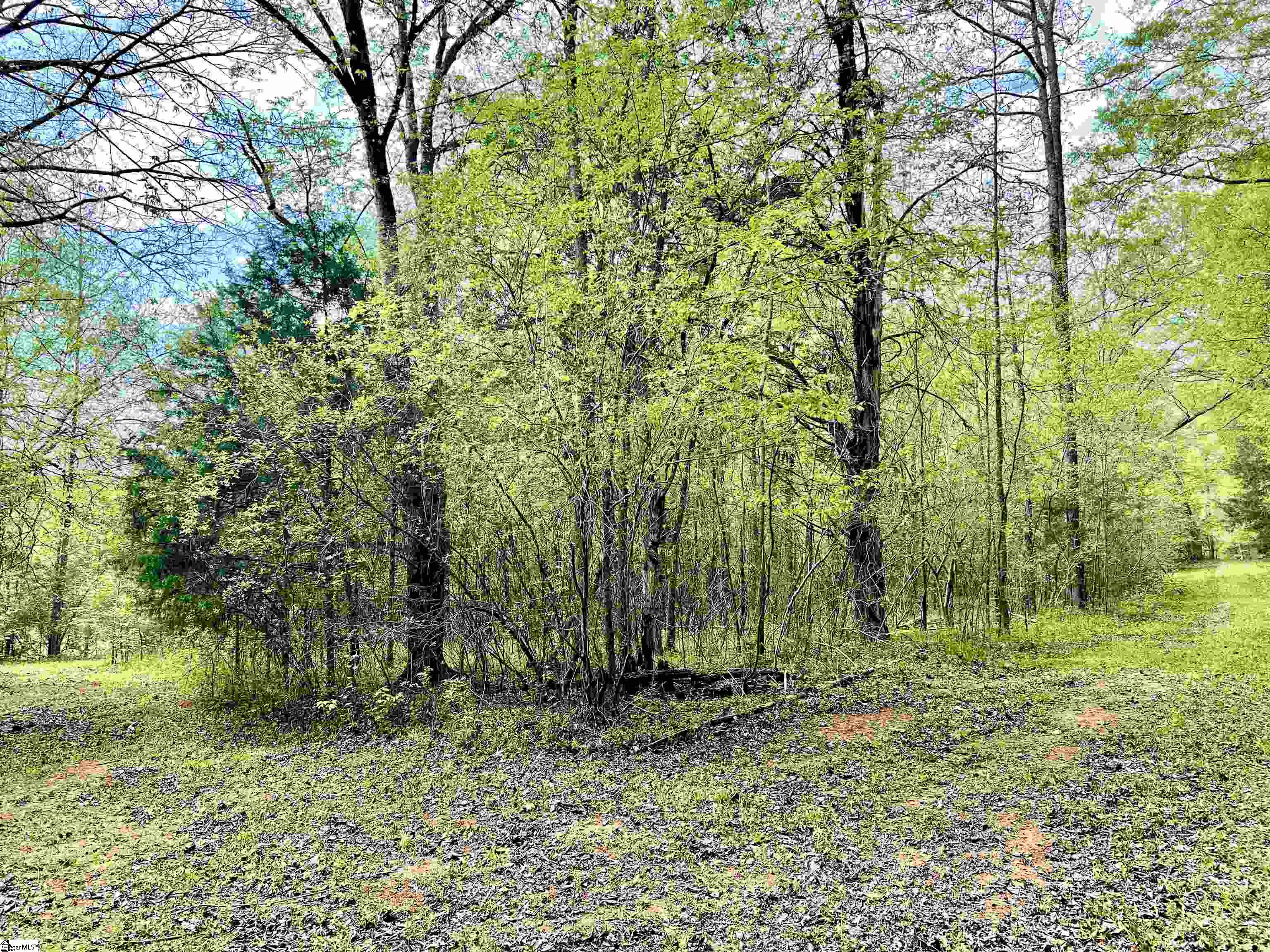 396 Bryson Ford Road Gray Court, SC 29645 - Photo 33 of 35 Gallery Image 33