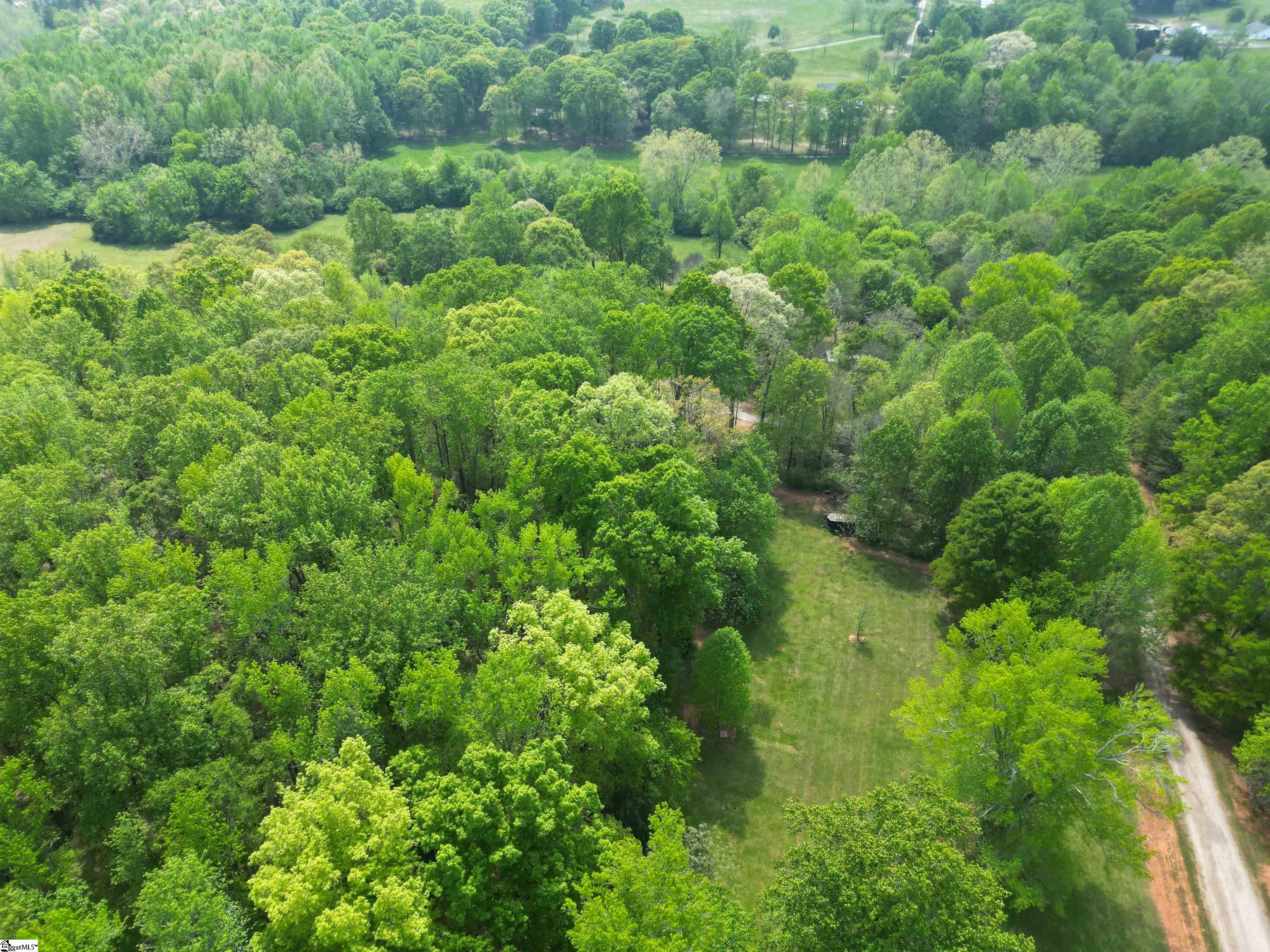 396 Bryson Ford Road Gray Court, SC 29645 - Photo 9 of 35 Gallery Image 9