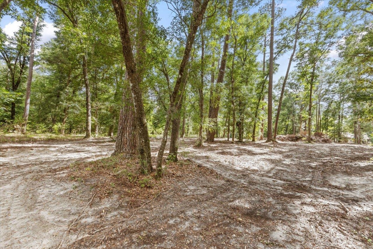 0 Gould Road Quincy, FL 32351 - Photo 4 of 25 Gallery Image 4