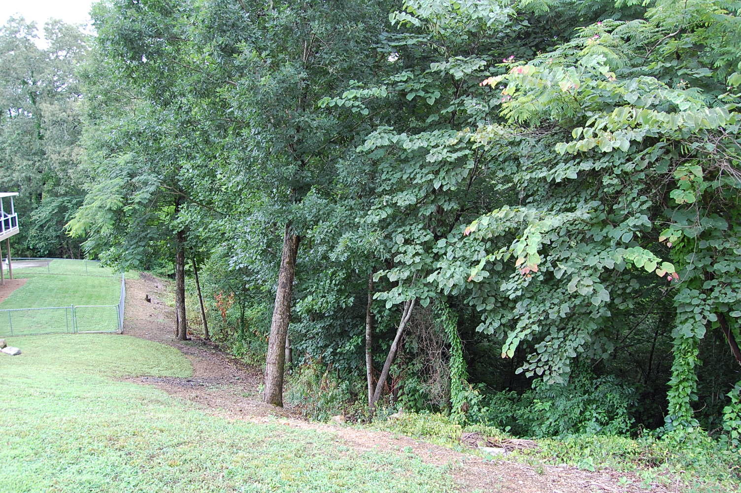 178 Wheeler Ridge Road Dunlap, TN 37327 - Photo 9 of 63 1339863 - 178 Wheeler Ridge Rd 009