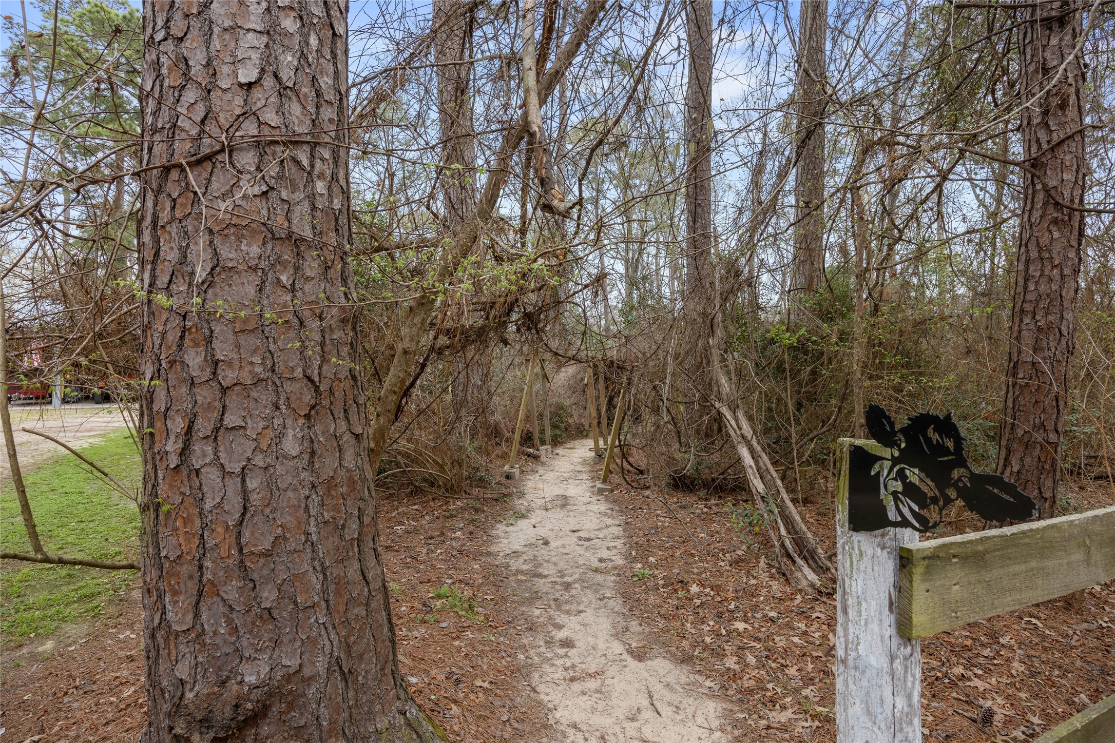31601 Huffman Cleveland Road Huffman, TX 77336 - Photo 31 of 38 a view of a yard with iron fence