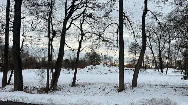 a view of a covered with snow in the background