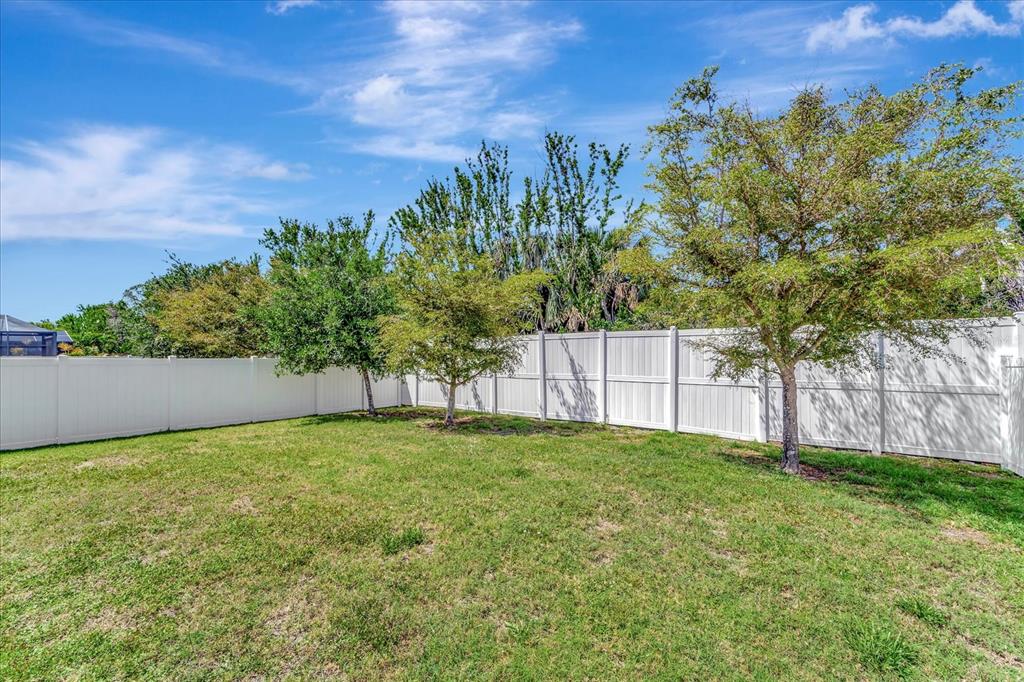 8997 Excelsior Loop Venice, FL 34293 - Photo 41 of 48 a view of a yard with a tree