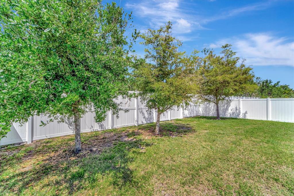 8997 Excelsior Loop Venice, FL 34293 - Photo 44 of 48 a backyard of a house with lots of green space