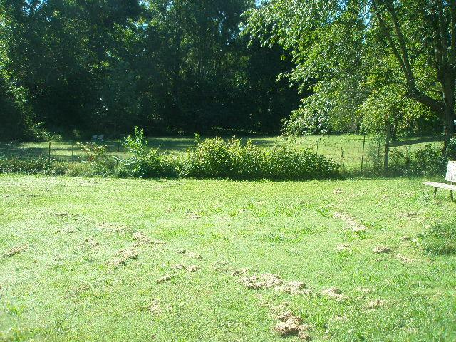 135 East Biggs Road Portland, TN 37148 - Photo 3 of 16