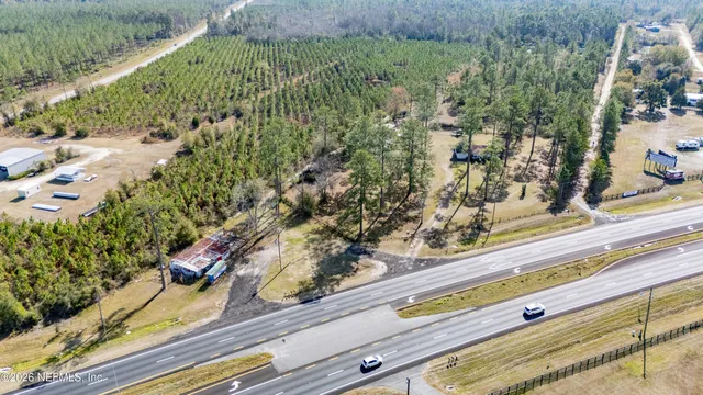 a view of a forest with trees