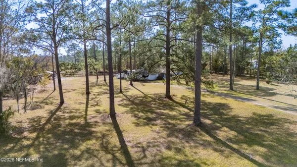 a view of yard with tree