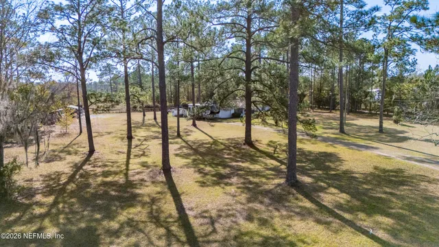 a view of yard with tree